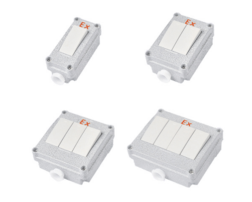 SW-10-B防爆墙壁照明开关